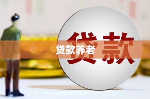铜仁贷款养老