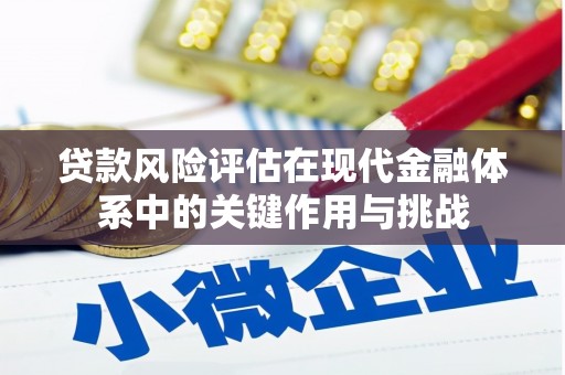 铜仁贷款风险评估在现代金融体系中的关键作用与挑战