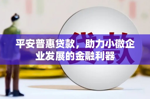 铜仁平安普惠贷款，助力小微企业发展的金融利器