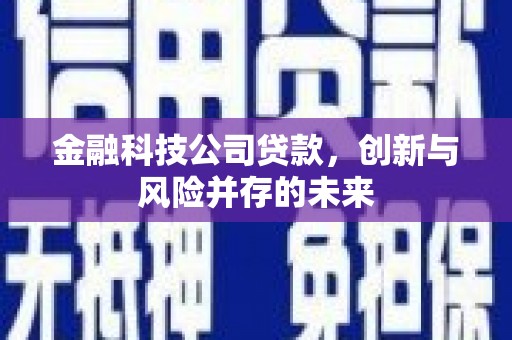铜仁金融科技公司贷款，创新与风险并存的未来