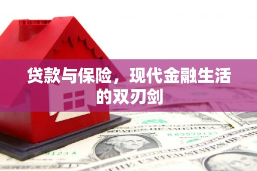 铜仁贷款与保险，现代金融生活的双刃剑