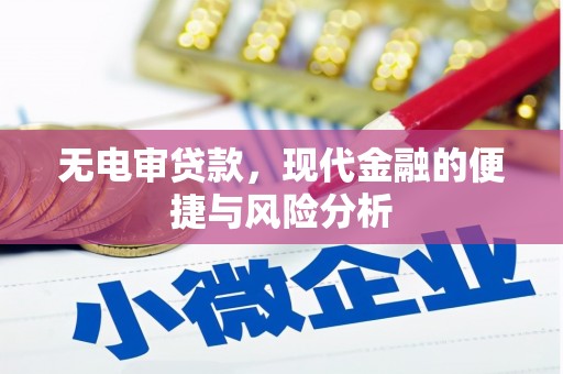 铜仁无电审贷款，现代金融的便捷与风险分析