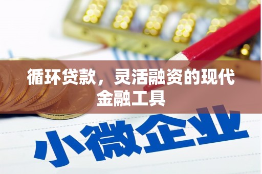 铜仁循环贷款，灵活融资的现代金融工具
