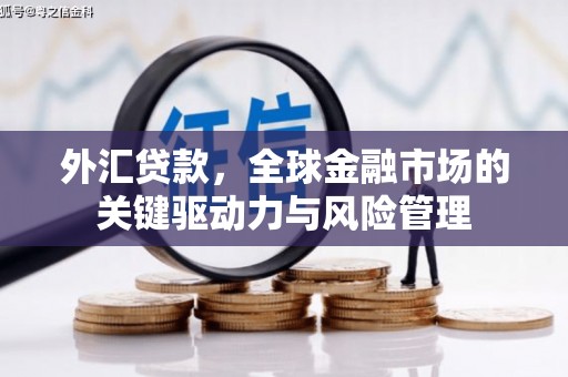铜仁外汇贷款，全球金融市场的关键驱动力与风险管理