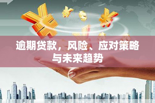铜仁逾期贷款，风险、应对策略与未来趋势