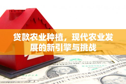 铜仁贷款农业种植，现代农业发展的新引擎与挑战