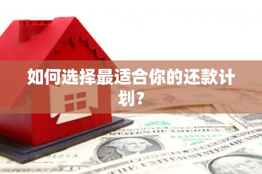 铜仁如何选择最适合你的还款计划？