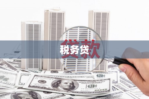 铜仁税务贷