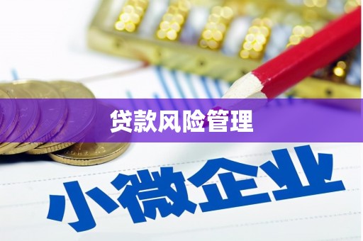 铜仁贷款风险管理
