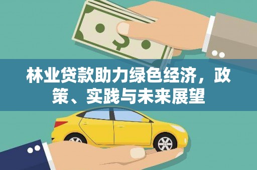 铜仁林业贷款助力绿色经济，政策、实践与未来展望