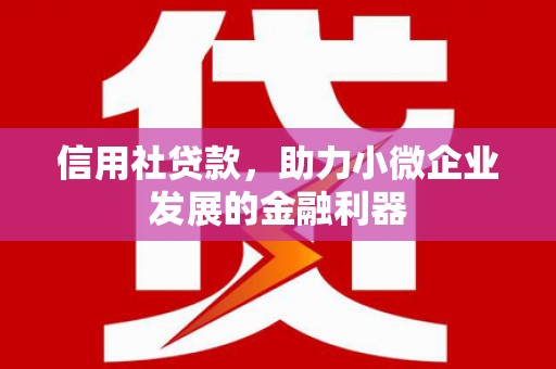 铜仁信用社贷款，助力小微企业发展的金融利器