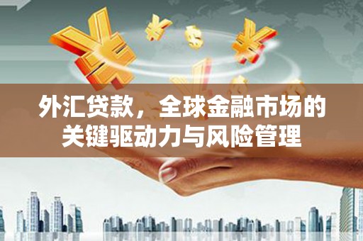 铜仁外汇贷款，全球金融市场的关键驱动力与风险管理