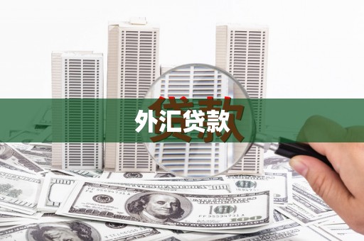 铜仁外汇贷款