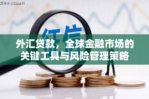 铜仁外汇贷款，全球金融市场的关键工具与风险管理策略