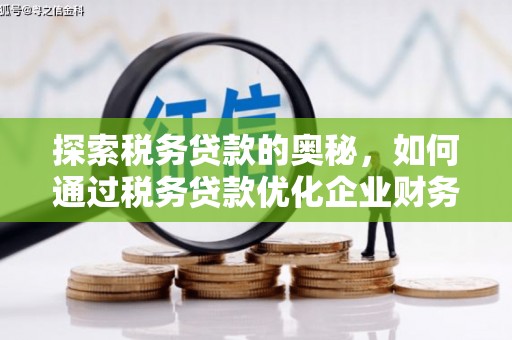 铜仁探索税务贷款的奥秘，如何通过税务贷款优化企业财务