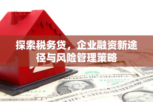 铜仁探索税务贷，企业融资新途径与风险管理策略