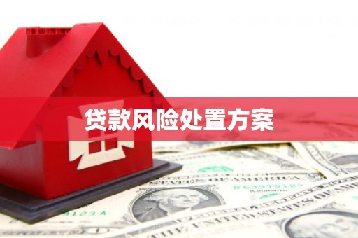 铜仁贷款风险处置方案