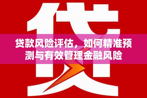 铜仁贷款风险评估，如何精准预测与有效管理金融风险
