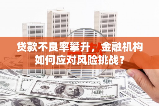铜仁贷款不良率攀升，金融机构如何应对风险挑战？