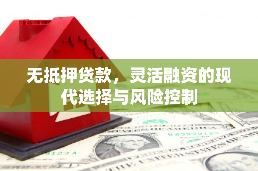 铜仁无抵押贷款，灵活融资的现代选择与风险控制