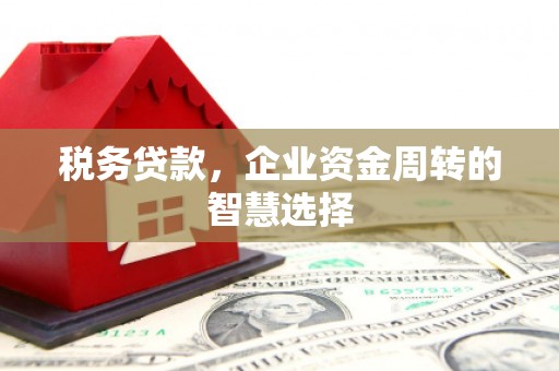 铜仁税务贷款，企业资金周转的智慧选择