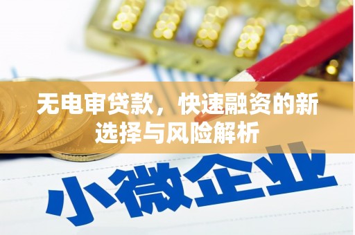 铜仁无电审贷款，快速融资的新选择与风险解析