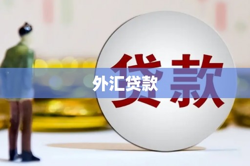 铜仁外汇贷款