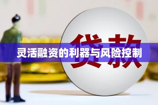 铜仁灵活融资的利器与风险控制