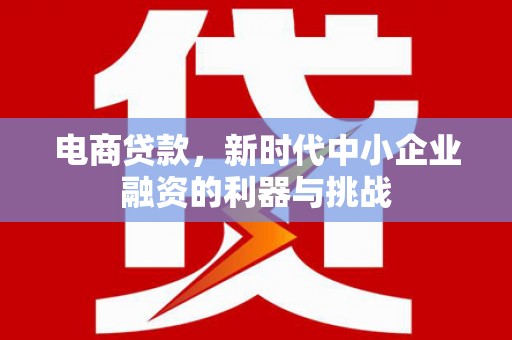 铜仁电商贷款，新时代中小企业融资的利器与挑战
