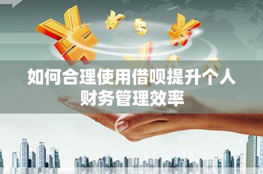 铜仁如何合理使用借呗提升个人财务管理效率