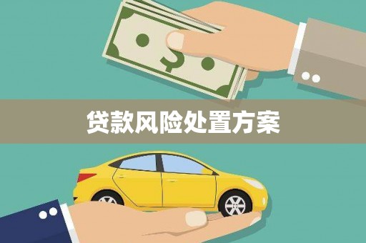 铜仁贷款风险处置方案