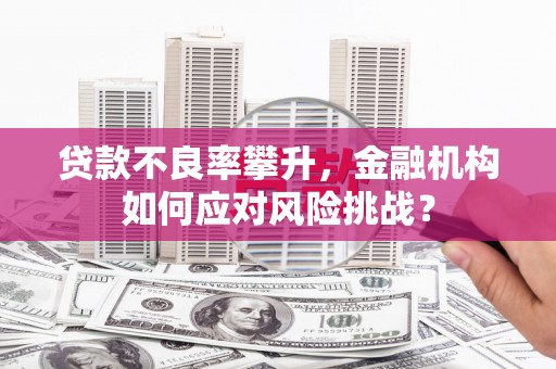 铜仁贷款不良率攀升，金融机构如何应对风险挑战？