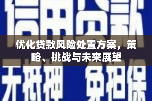 铜仁优化贷款风险处置方案，策略、挑战与未来展望