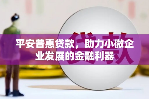 铜仁平安普惠贷款，助力小微企业发展的金融利器