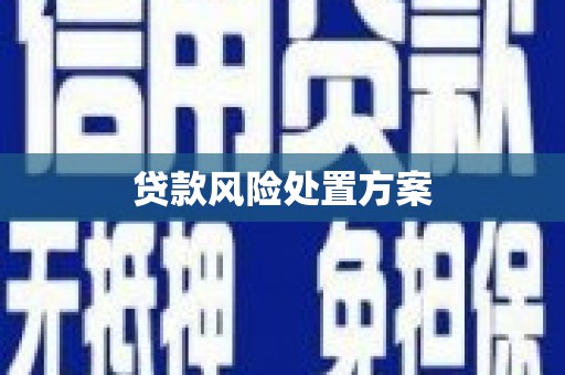 铜仁贷款风险处置方案