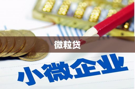 铜仁微粒贷