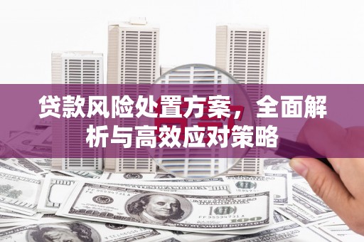 铜仁贷款风险处置方案，全面解析与高效应对策略