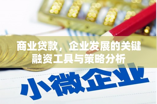 铜仁商业贷款，企业发展的关键融资工具与策略分析