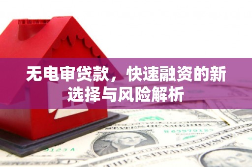 铜仁无电审贷款，快速融资的新选择与风险解析