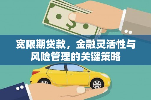 铜仁宽限期贷款，金融灵活性与风险管理的关键策略