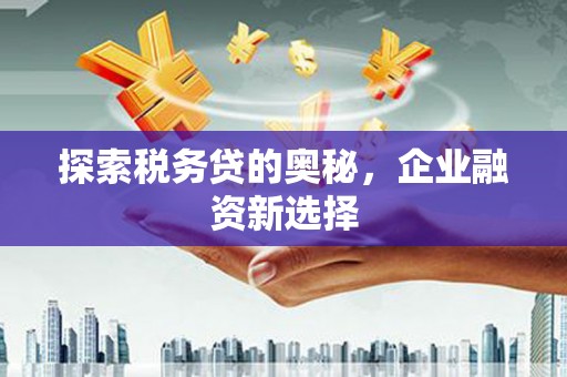 铜仁探索税务贷的奥秘，企业融资新选择