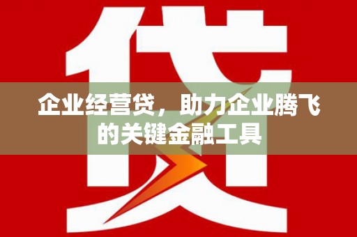铜仁企业经营贷，助力企业腾飞的关键金融工具
