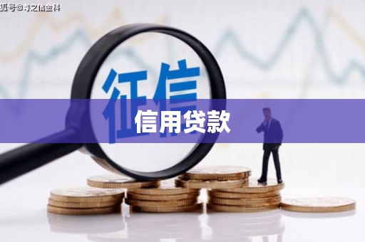 铜仁信用贷款