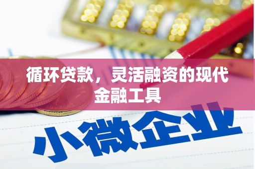 铜仁循环贷款，灵活融资的现代金融工具