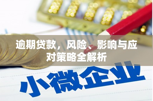 铜仁逾期贷款，风险、影响与应对策略全解析
