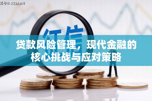 铜仁贷款风险管理，现代金融的核心挑战与应对策略