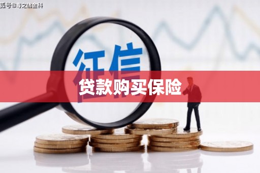 铜仁贷款购买保险