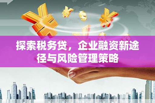 铜仁探索税务贷，企业融资新途径与风险管理策略