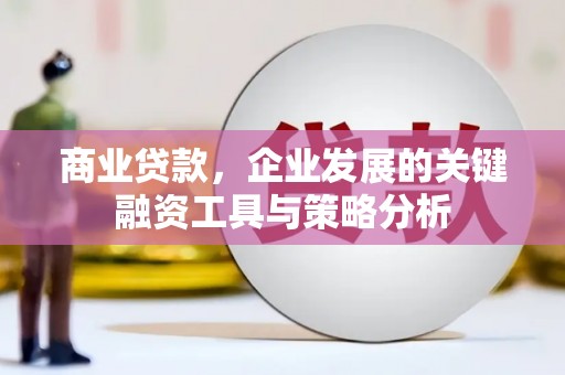 铜仁商业贷款，企业发展的关键融资工具与策略分析