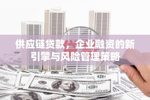 铜仁供应链贷款，企业融资的新引擎与风险管理策略